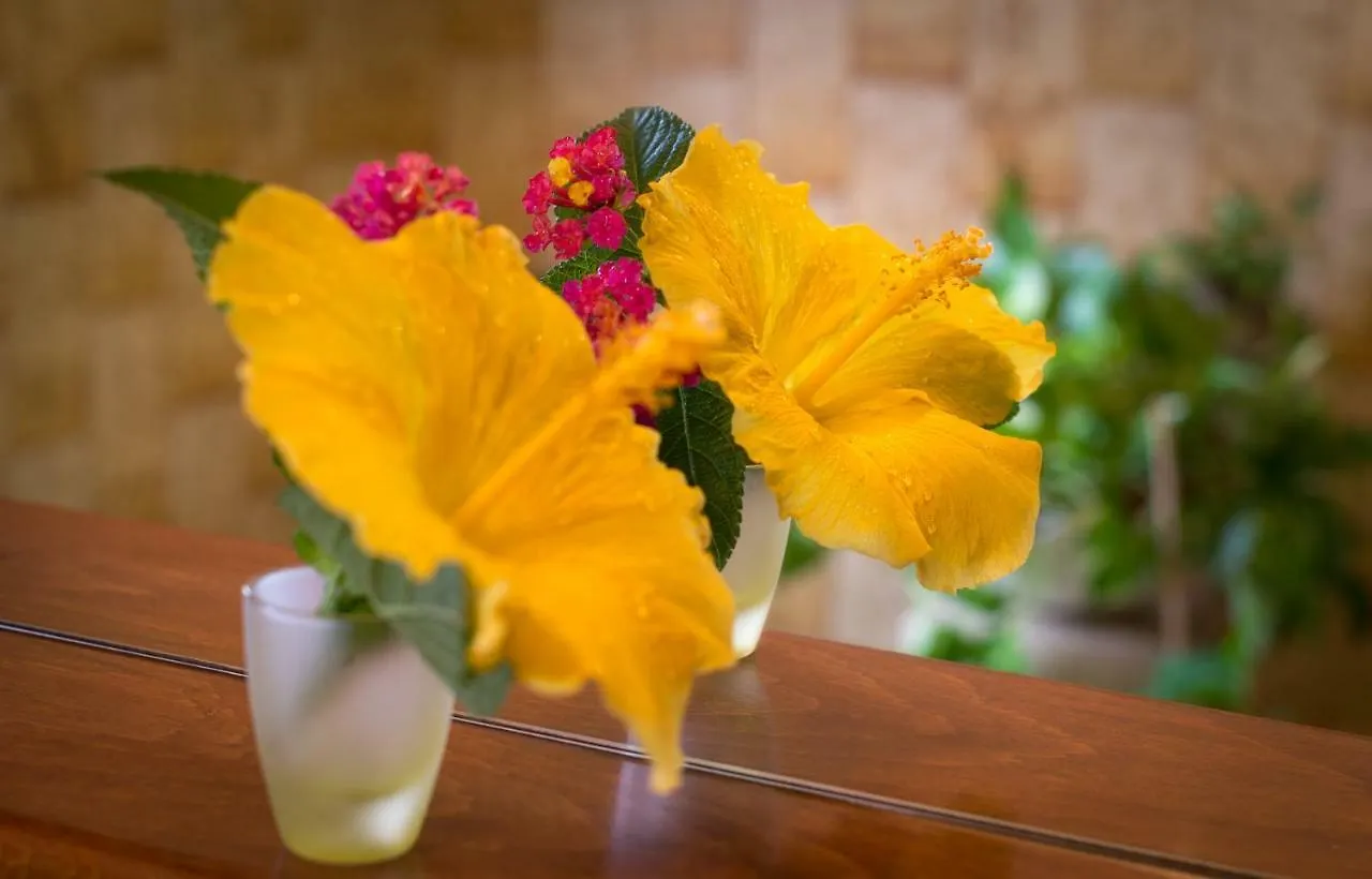 Bed and Breakfast Su Connotu Sestu Bed & Breakfast
